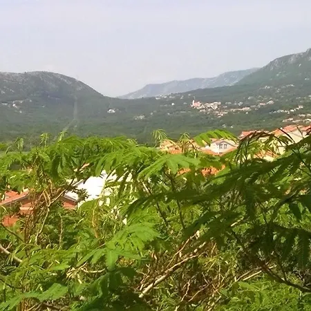 Schoene Ferienwohnung In Mit Gemeinsamem Pool, Grill Und Terrasse Und Panoramablick נובי ווינודולסקי